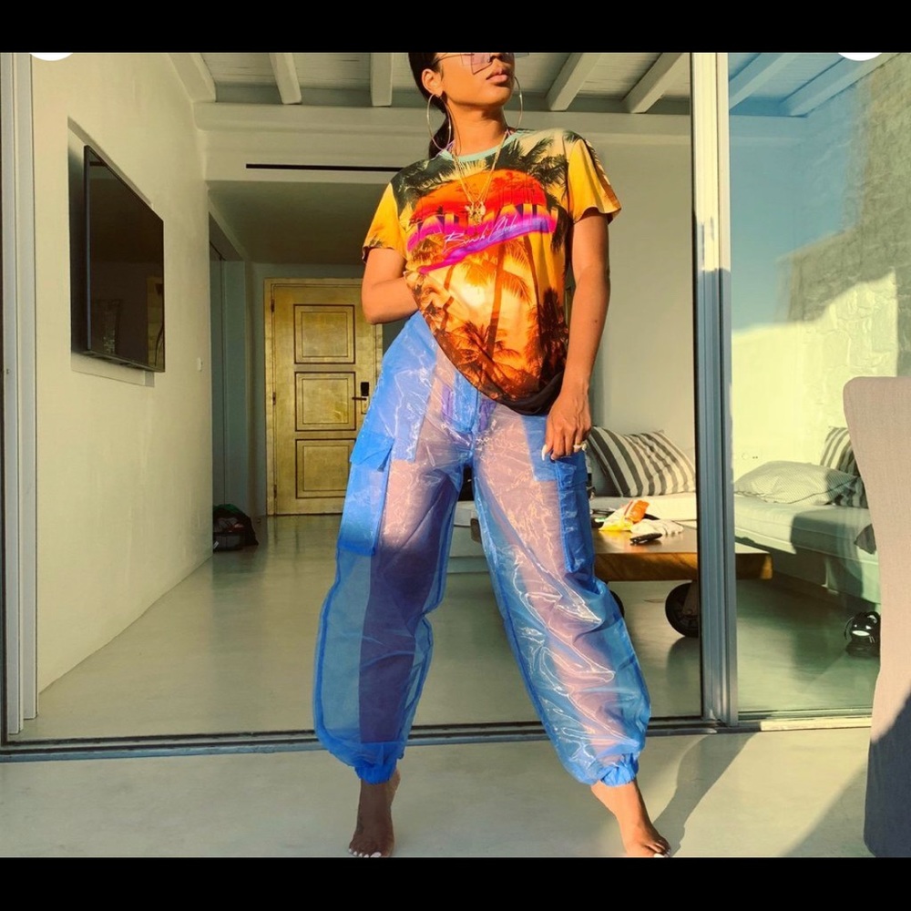 Blue organza Pants
